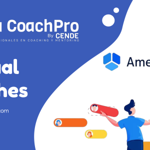 Primeros pasos sistema público Amelia